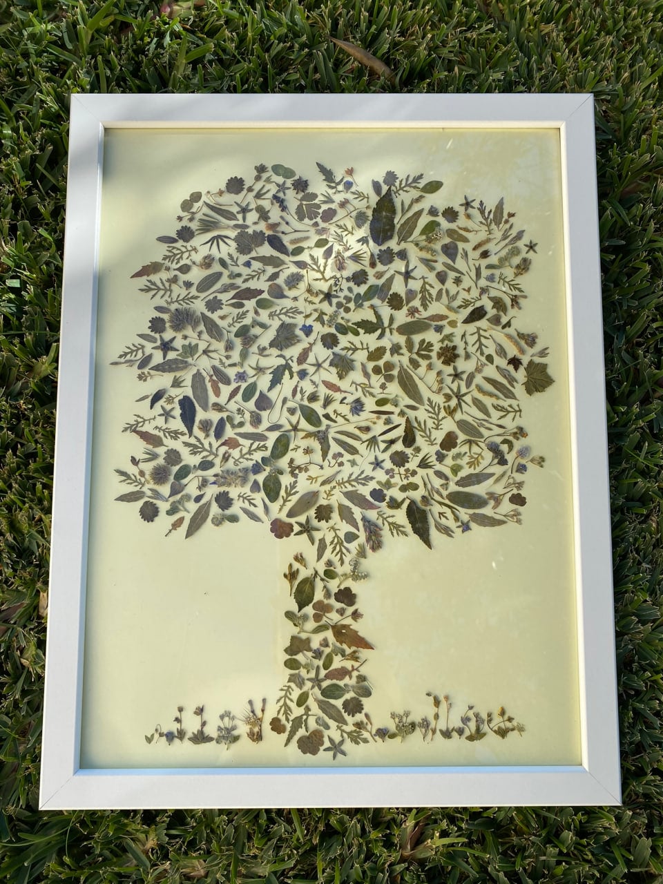 tree-frame-from-dried-flower-petals-main