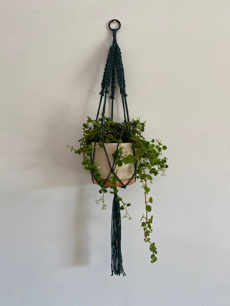 green-macrame-plant-hanger-thin-cotton-cord-main