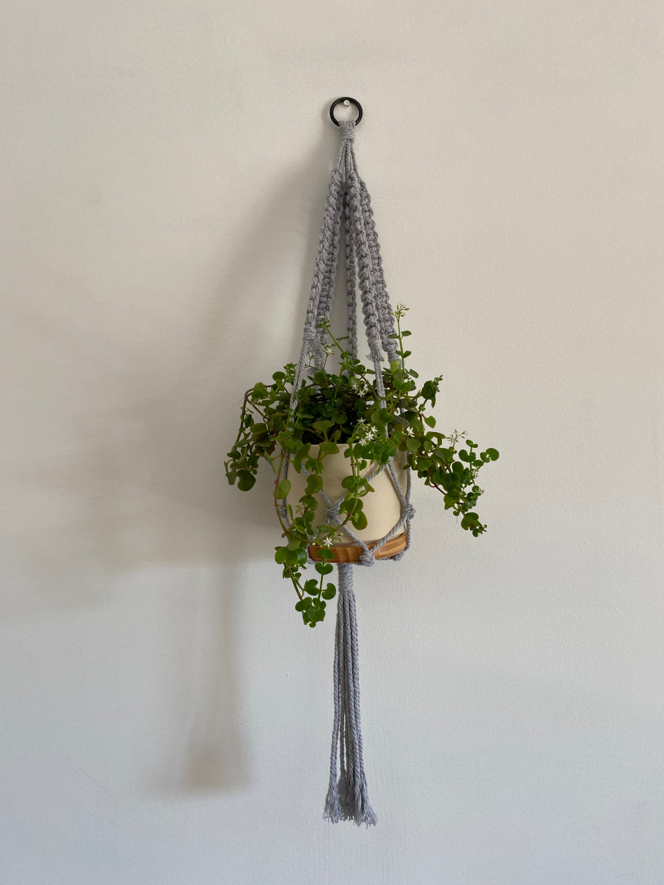 grey-macrame-plant-hanger-thick-cotton-cord-main