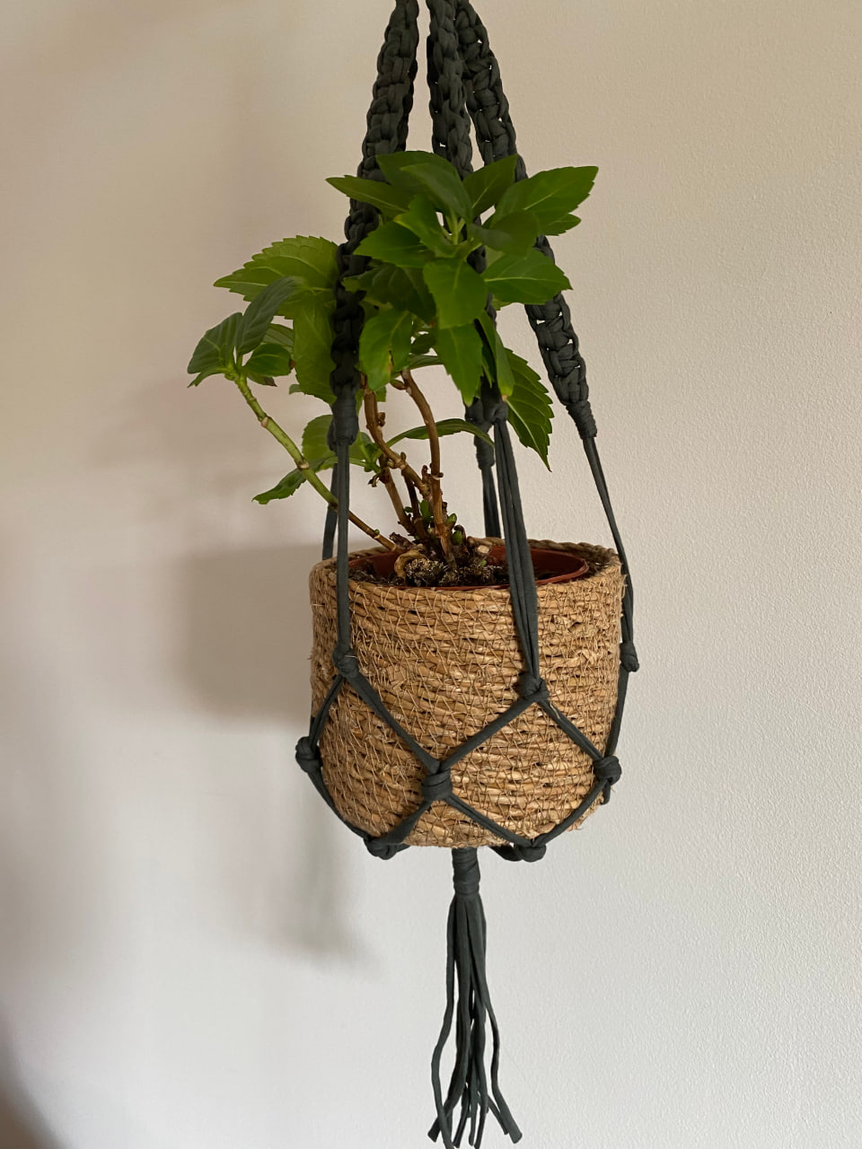 long-green-macrame-flowerpot-holder-main