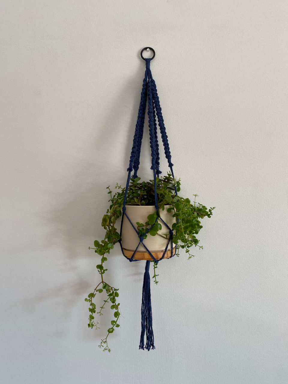 macrame-plant-hanger-thin-cotton-cord-main