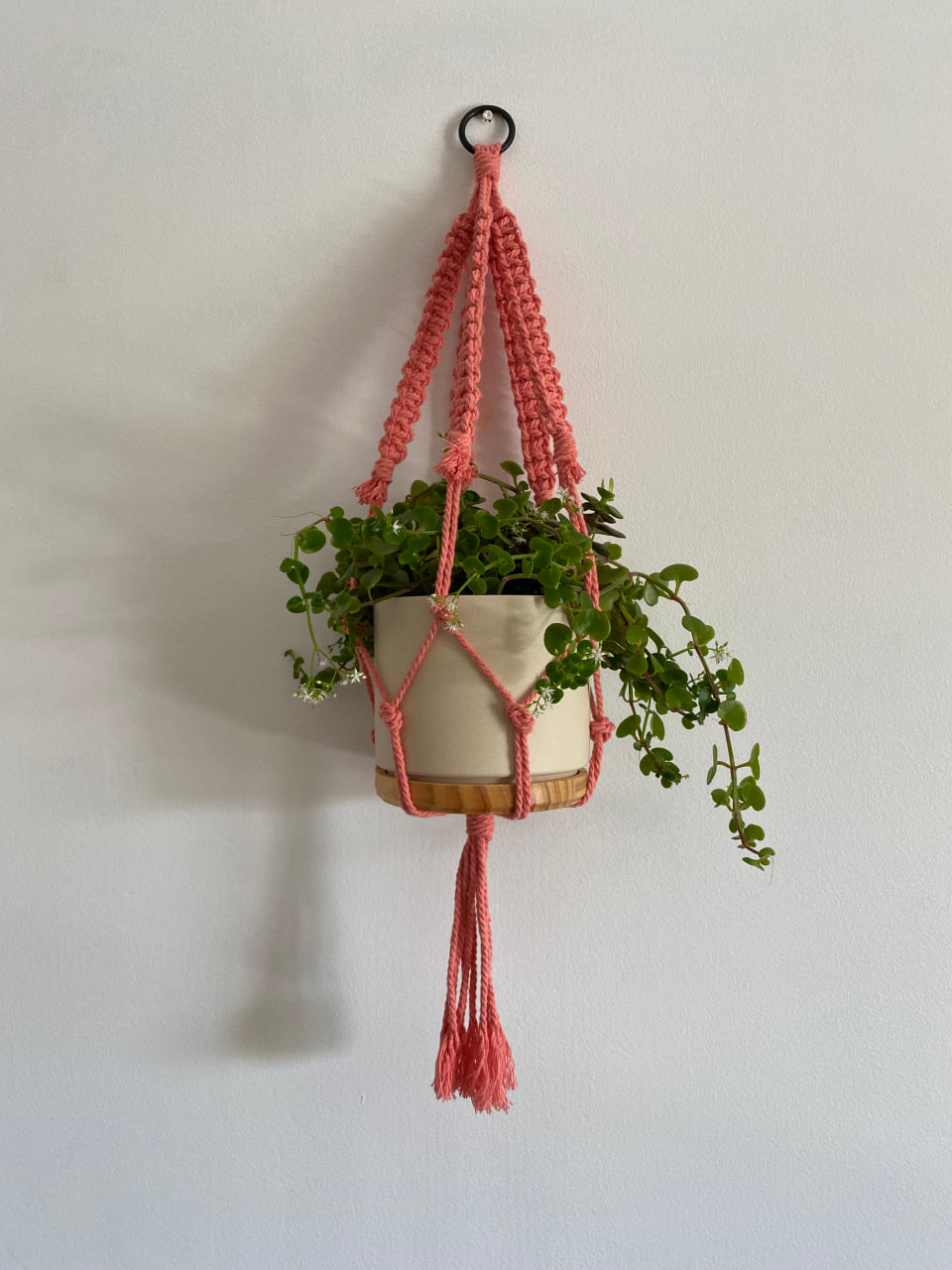 pink-macrame-plant-hanger-thick-cotton-cord-main