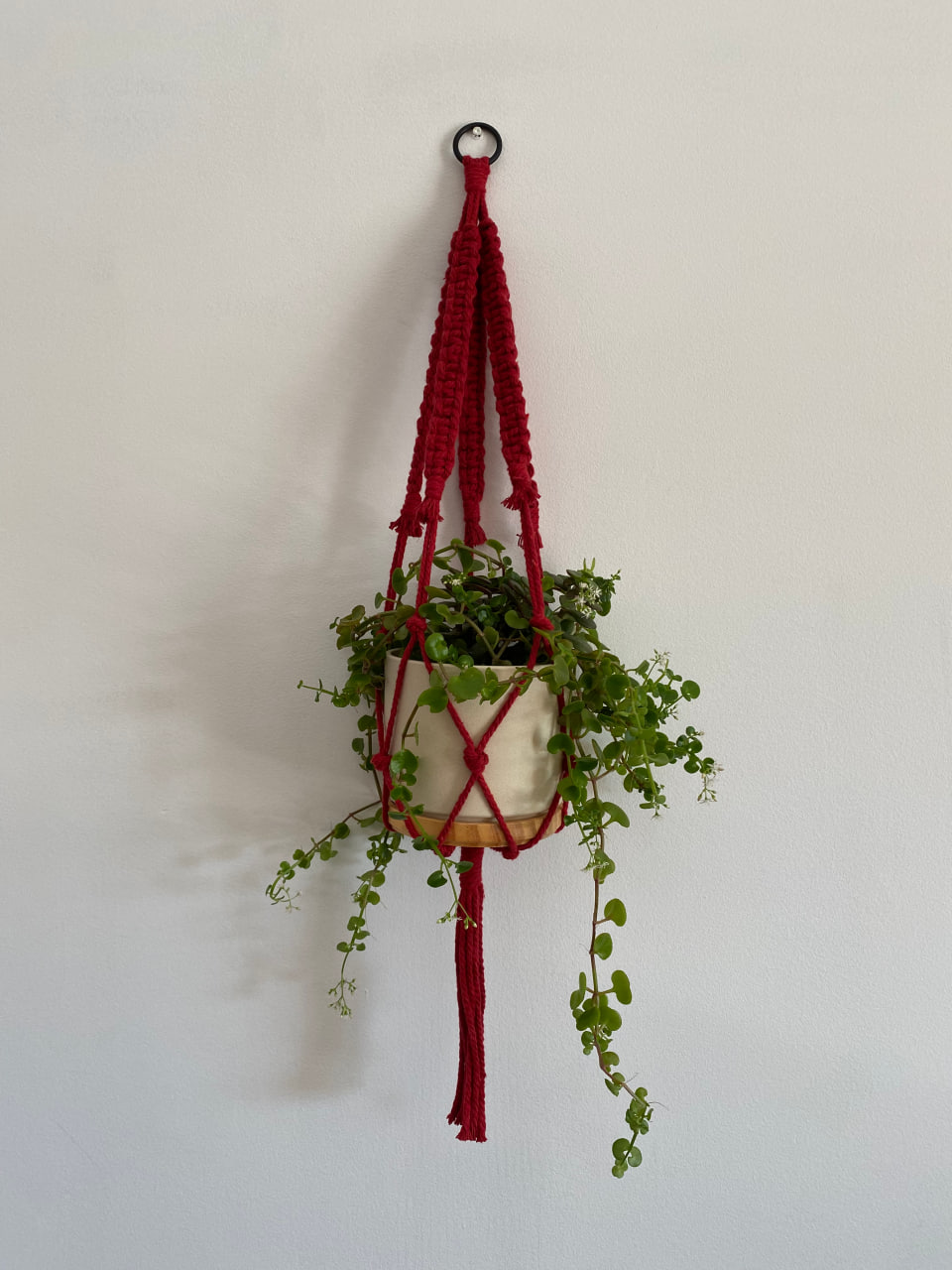 red-macrame-plant-hanger-thick-cotton-cord-main