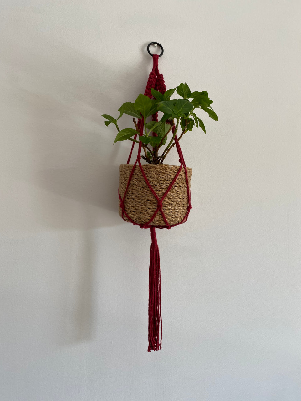 red-macrame-plant-hanger-thin-cotton-cord-main