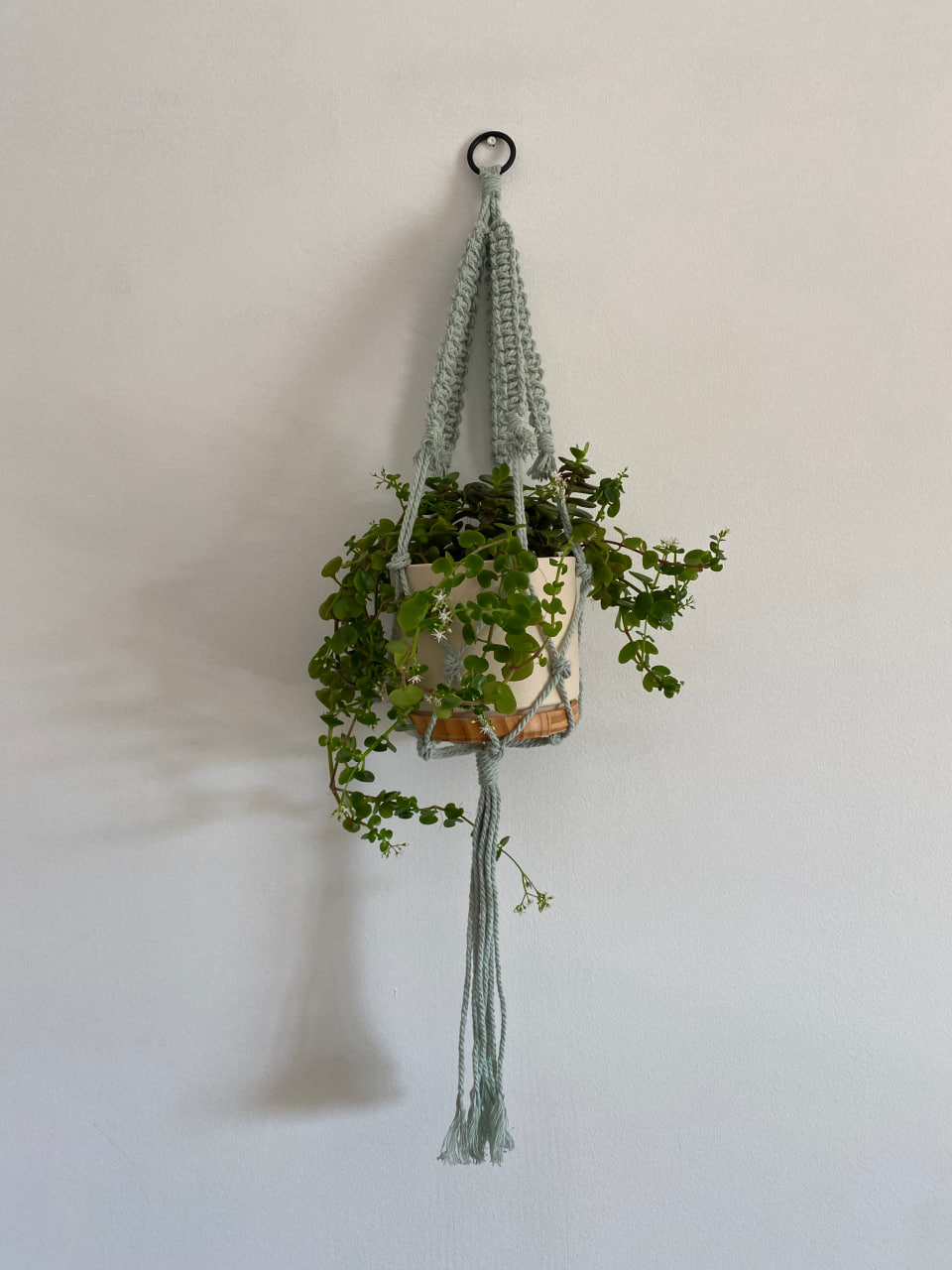 turquoise-macrame-plant-hanger-thick-cotton-cord-main