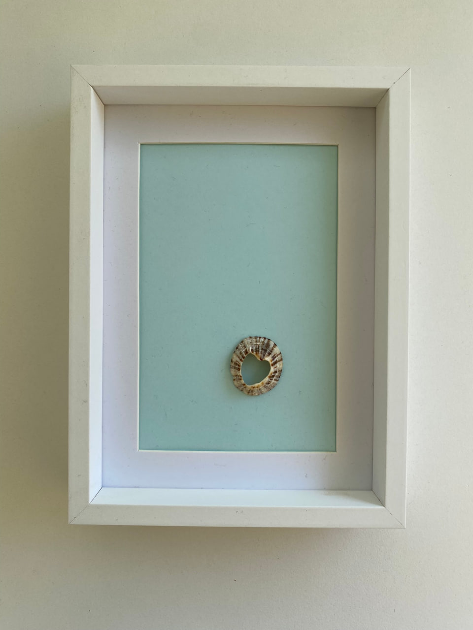 small-seashell-heart-in-frame-main