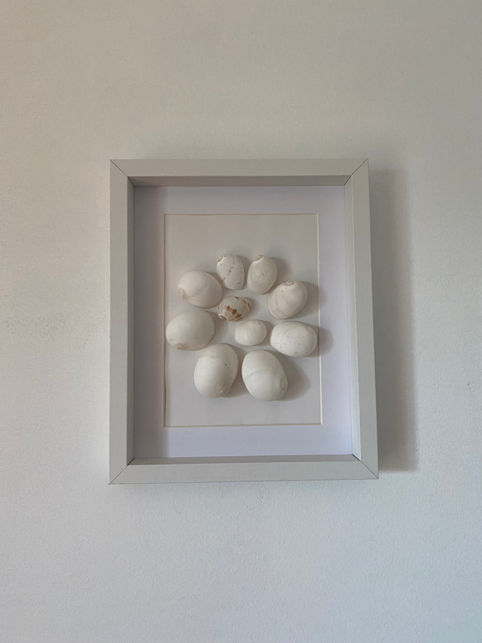 white-sea-shells-frame-main