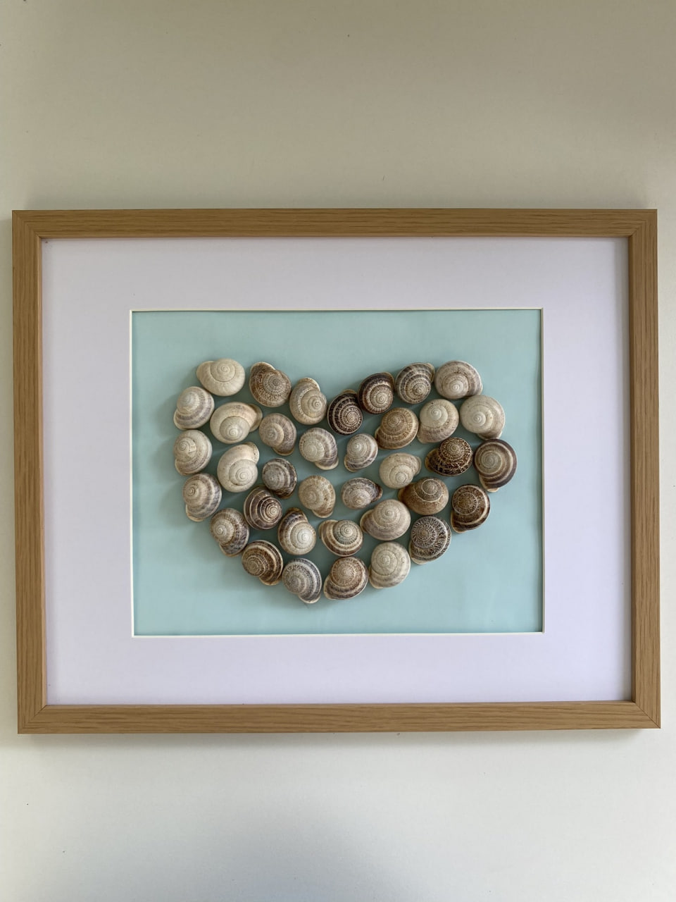 heart-frame-round-seashells-light-green-background-main